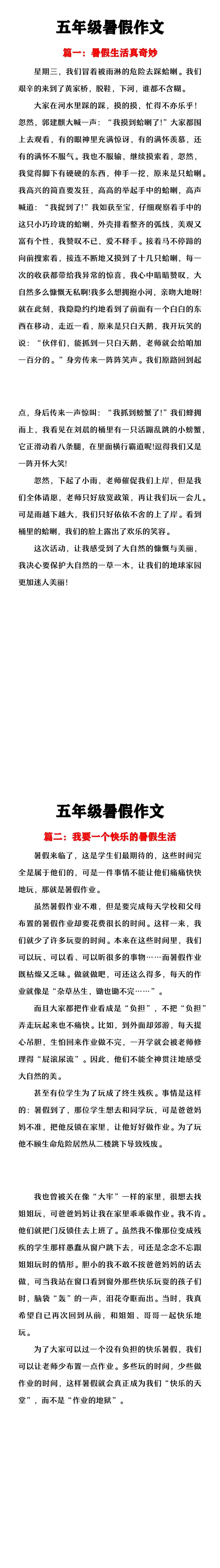 五年级暑假作文