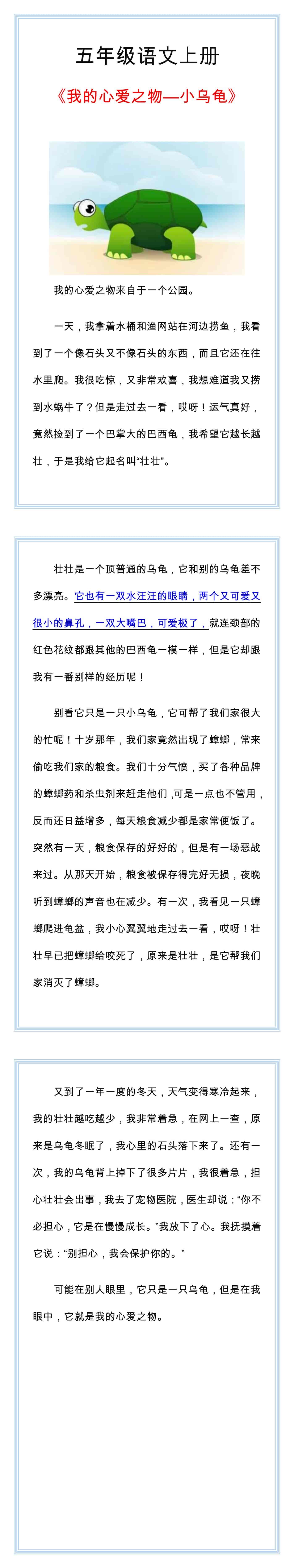 五年级语文上册必写作文，我的心爱之物小乌龟