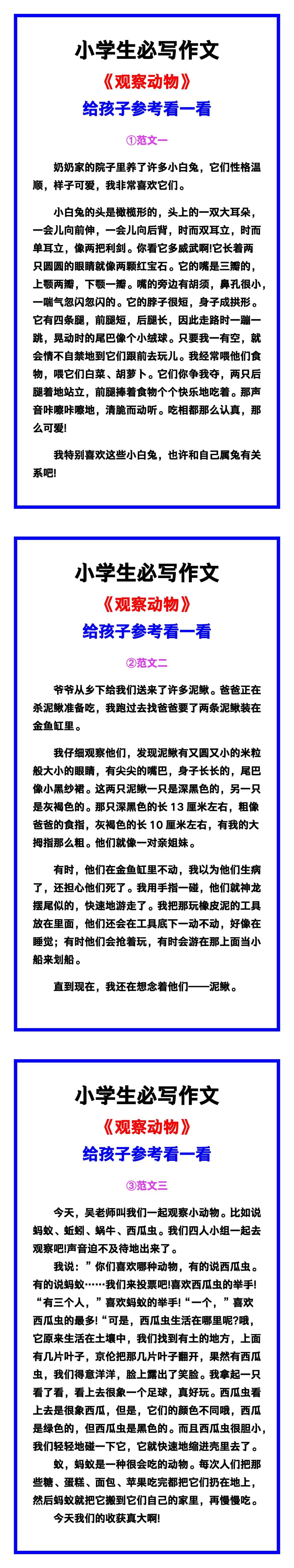 小学生必写作文《观察动物》范文素材，给孩子