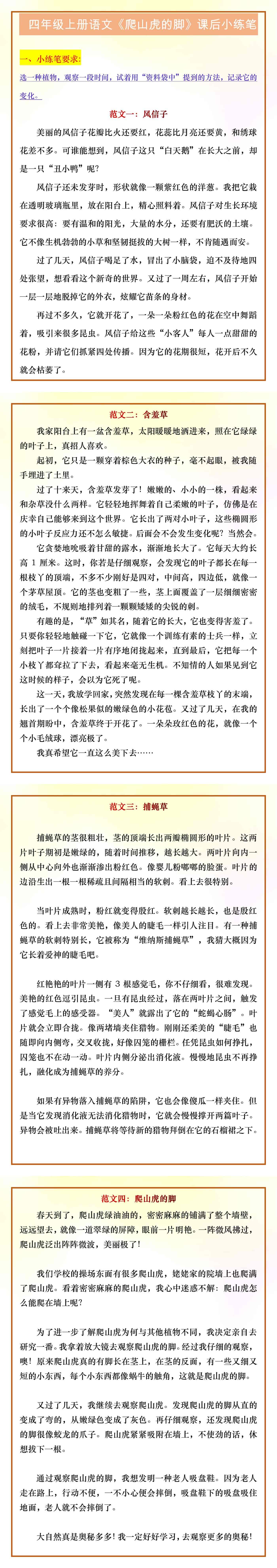 四年级上册语文《爬山虎的脚》课后小练笔