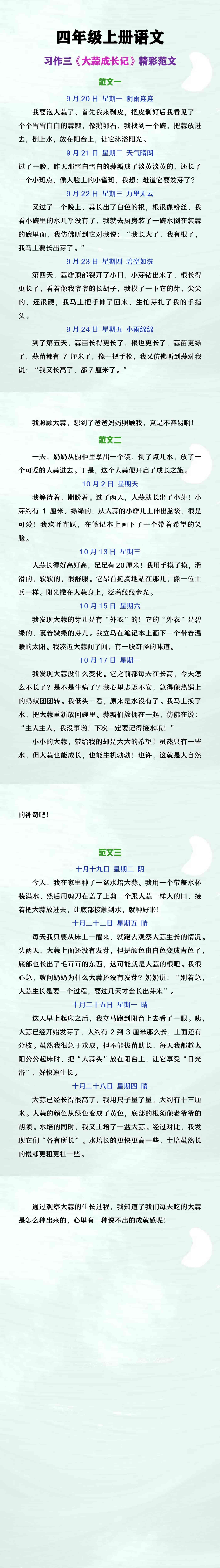 四年级上册语文习作三《大蒜成长记》范文3篇