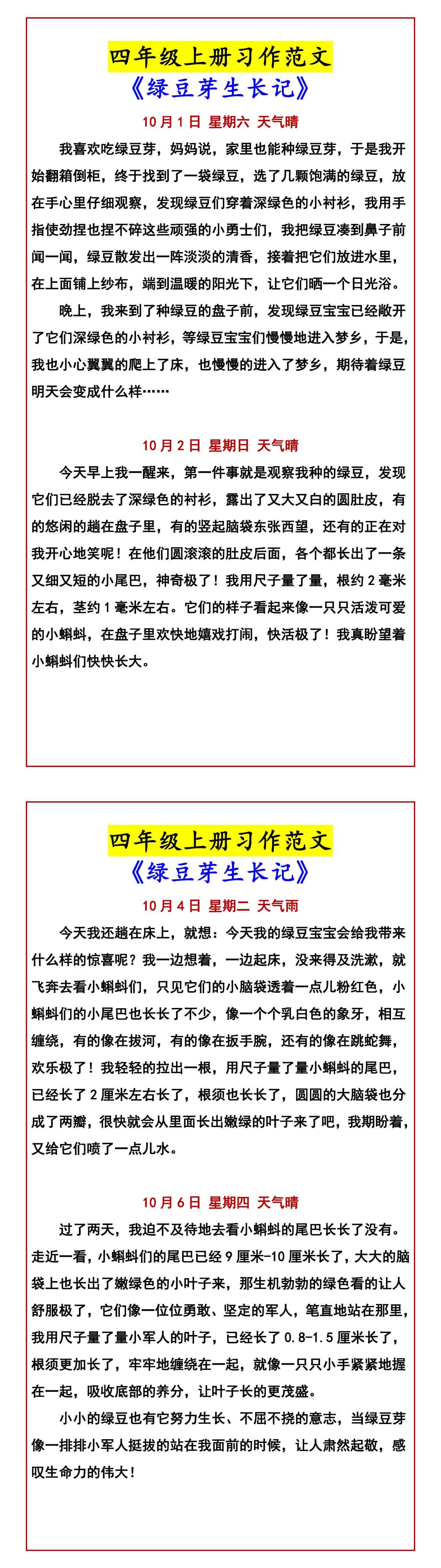 四年级上册习作范文 《绿豆芽生长记》