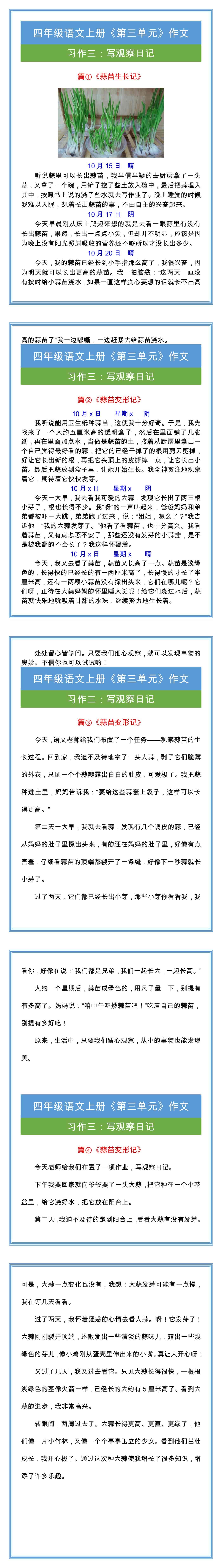 四年级上册习作三《蒜苗生长记》观察范文四篇