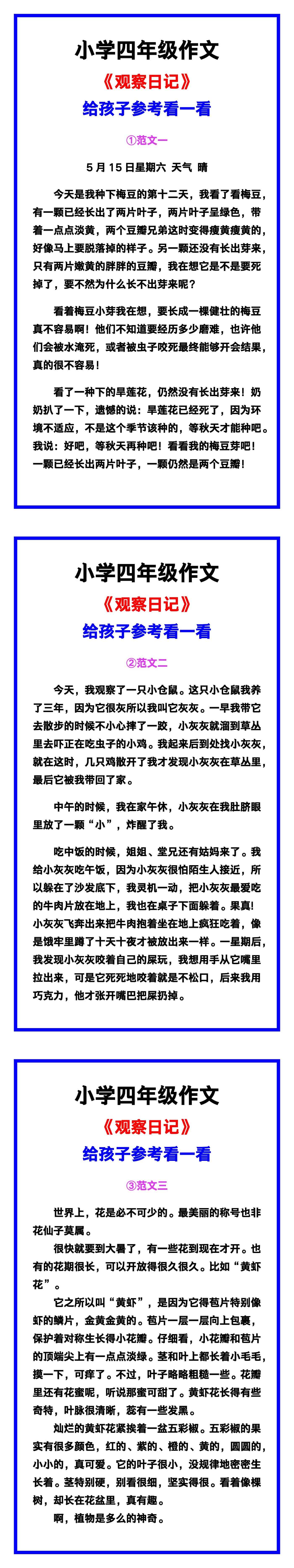 小学四年级作文《观察日记》范文素材，给孩子