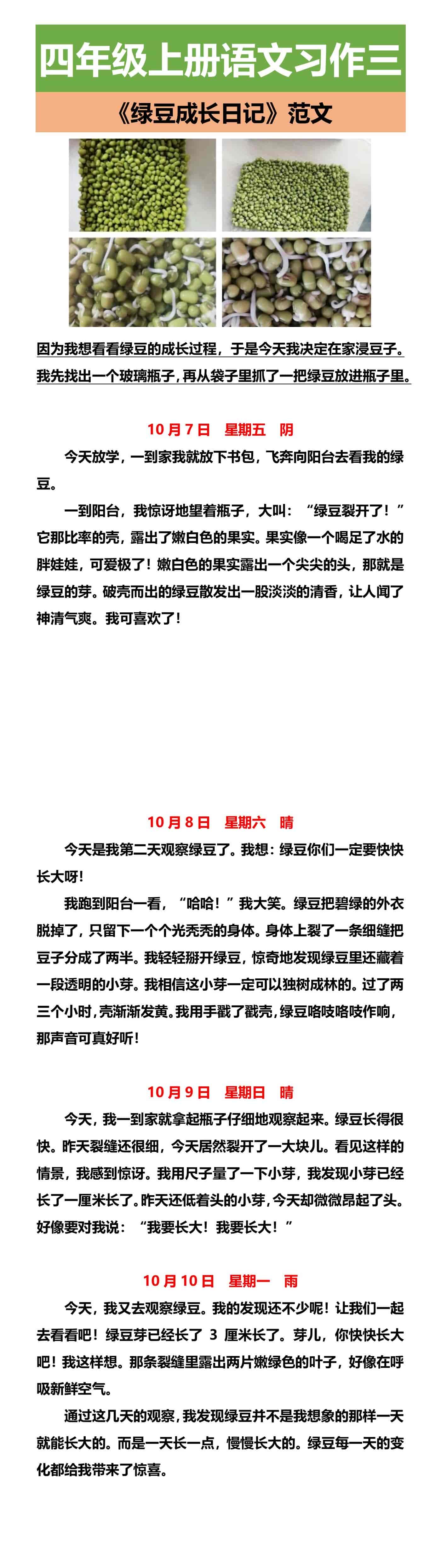 四年级上册语文习作三 《绿豆成长日记》范文