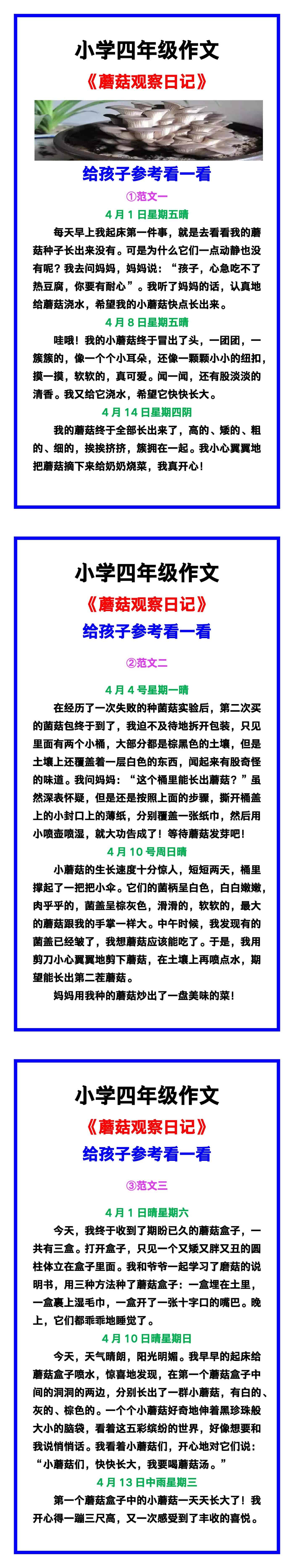 小学四年级作文《蘑菇观察日记》范文素材，给