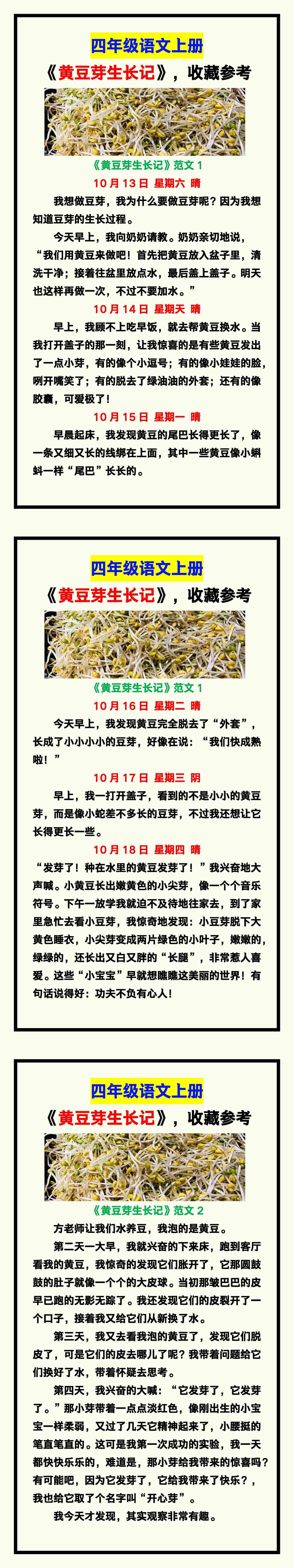 四年级语文上册《黄豆芽生长记》范文，收藏参