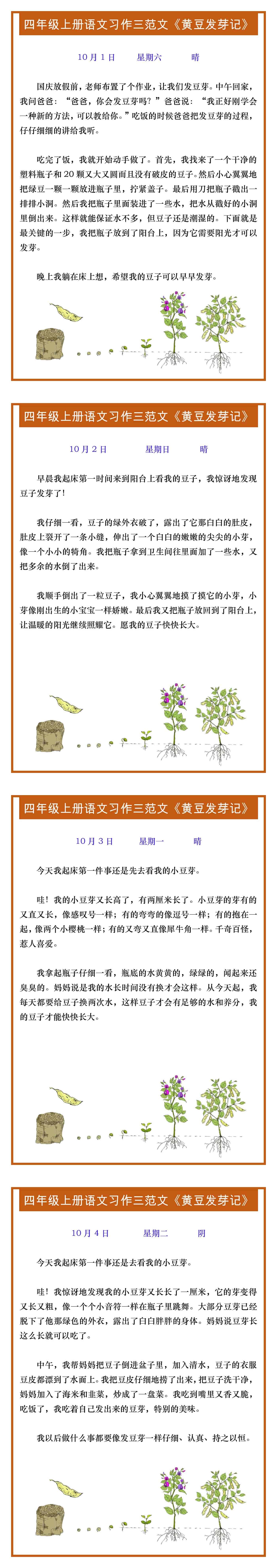 四年级上册语文习作三范文《黄豆发芽记》