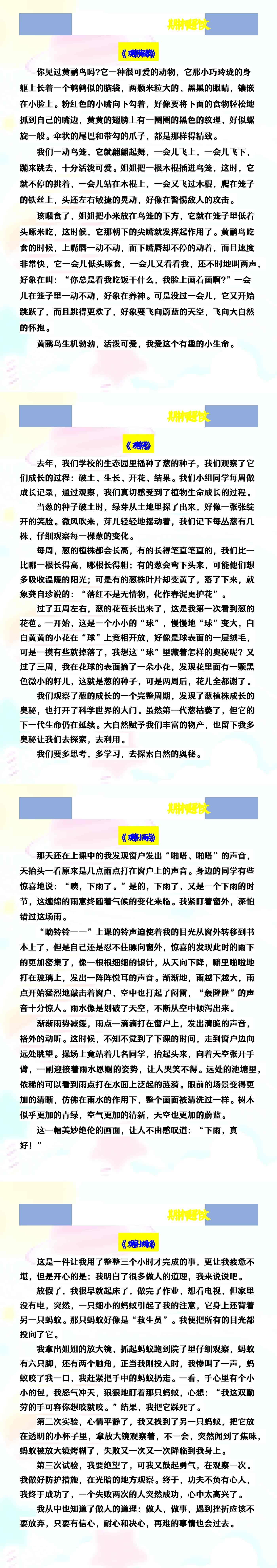 四年级上册语文《观察__》期中押题作文