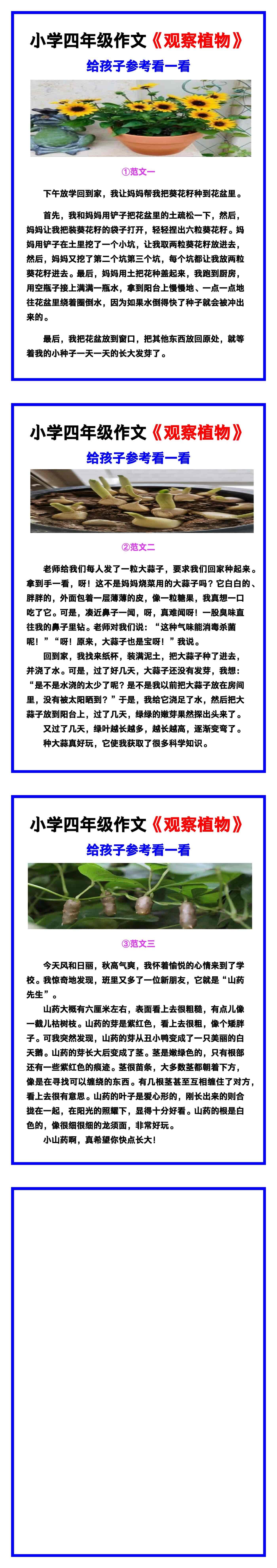 小学四年级作文《观察植物》范文素材，给孩子