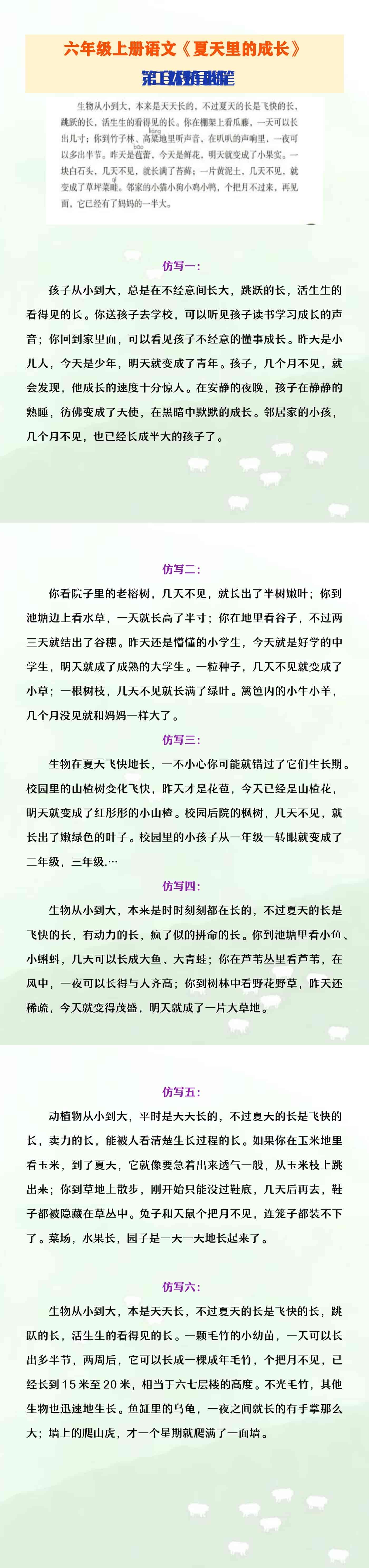 六年级上册语文《夏天里的成长》第二自然段仿