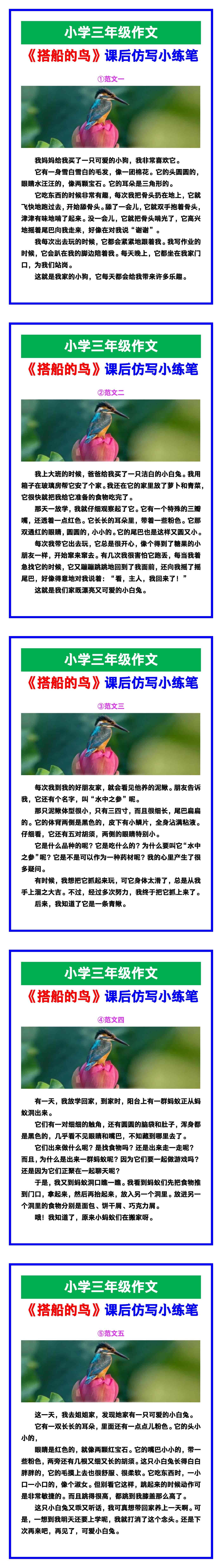 小学三年级作文《搭船的鸟》课后仿写小练笔范