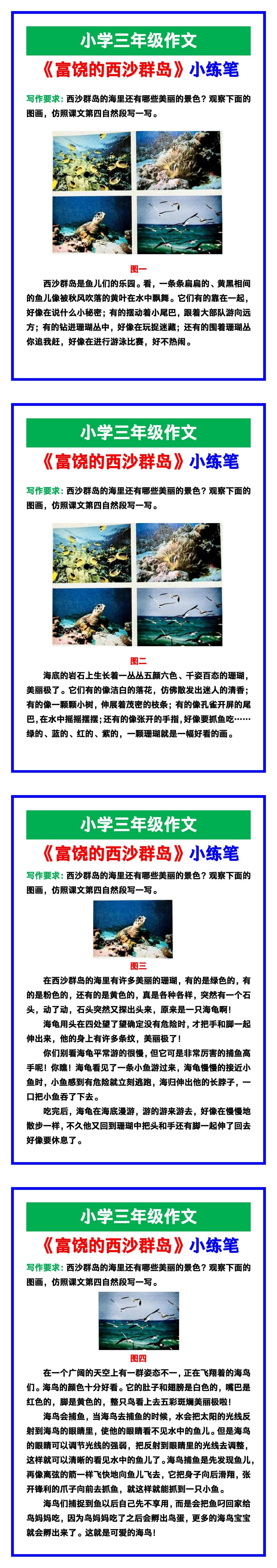 小学三年级作文《富饶的西沙群岛》课后小练笔