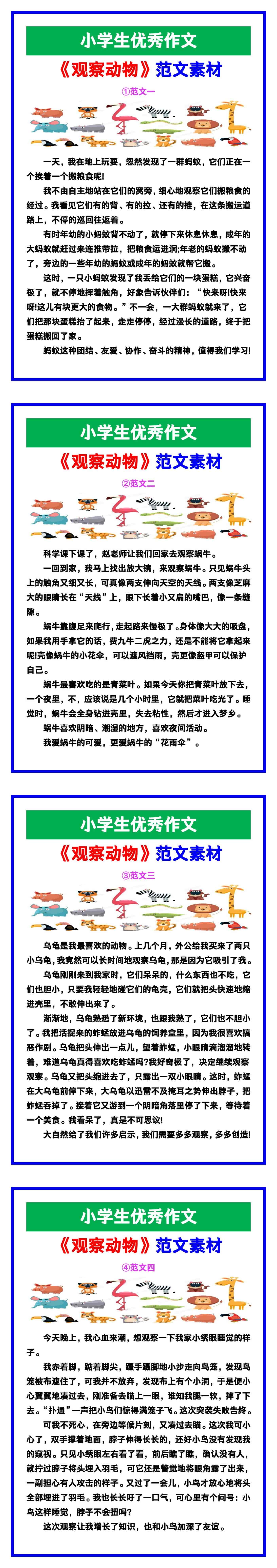 小学生优秀作文《观察动物》范文汇总，替孩子