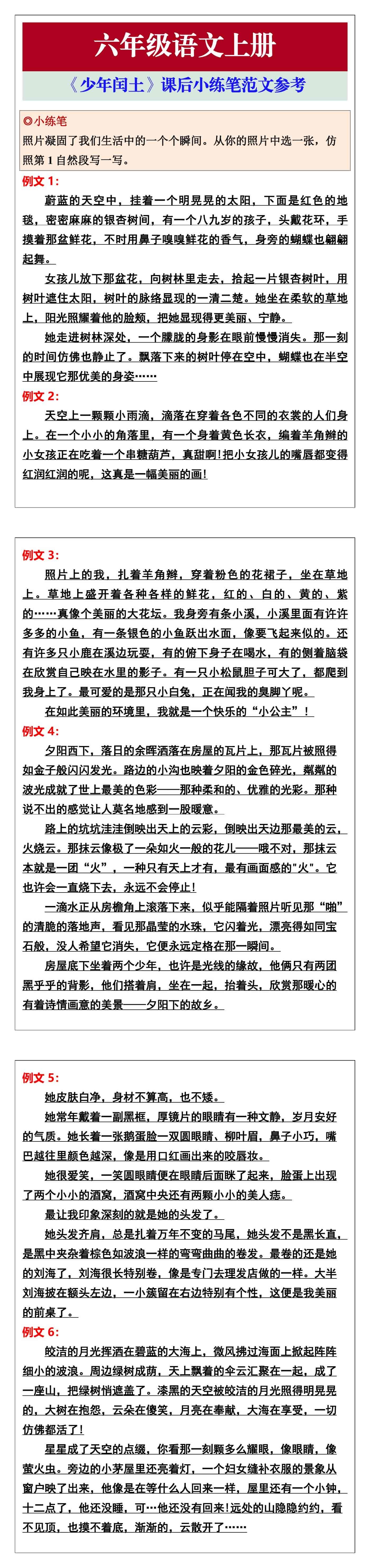 六年级语文上册《少年闰土》课后小练笔范文参