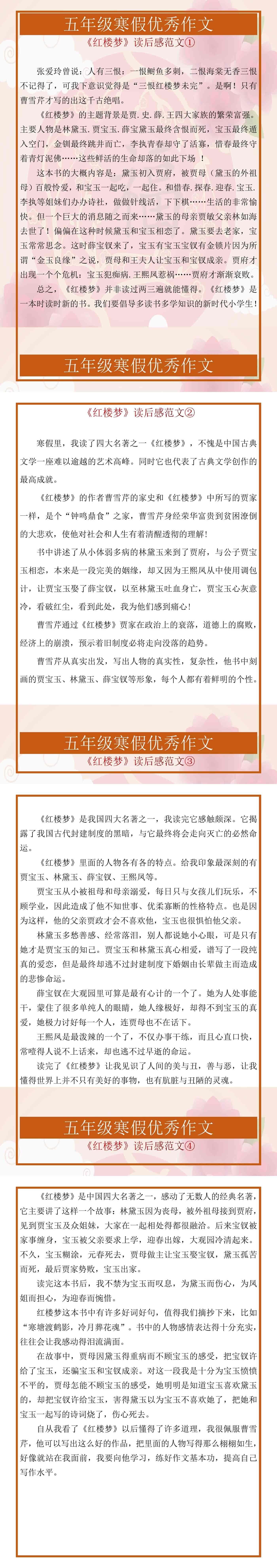 五年级寒假优秀作文《红楼梦》读后感范文4篇