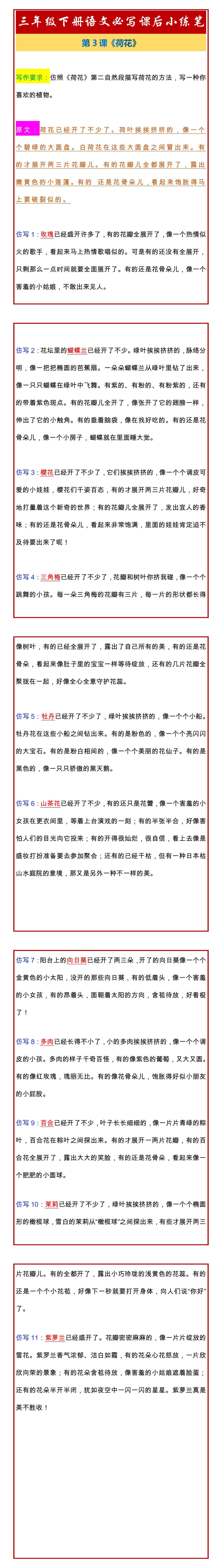 三年级下册语文《荷花》必写课后小练笔