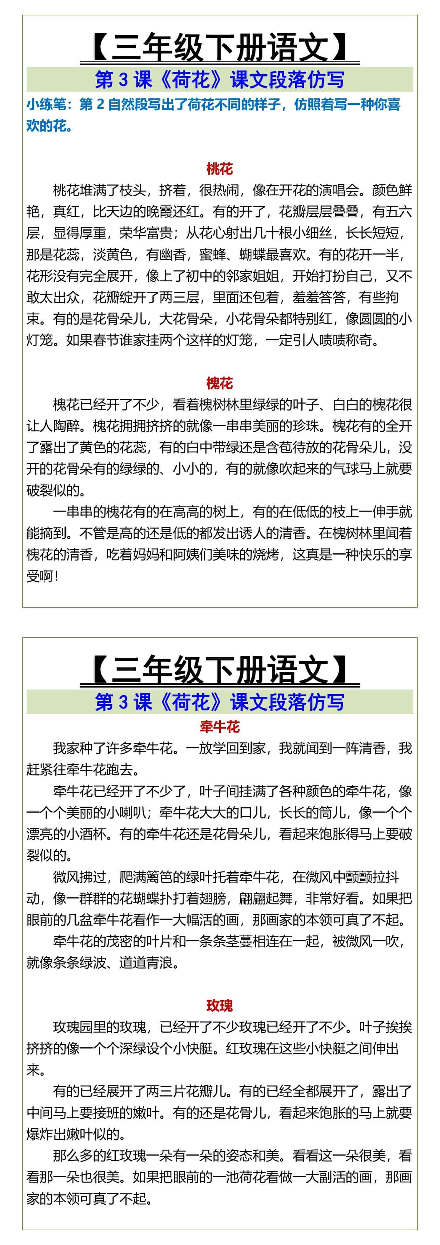 三年级下册语文《荷花》课文段落仿写