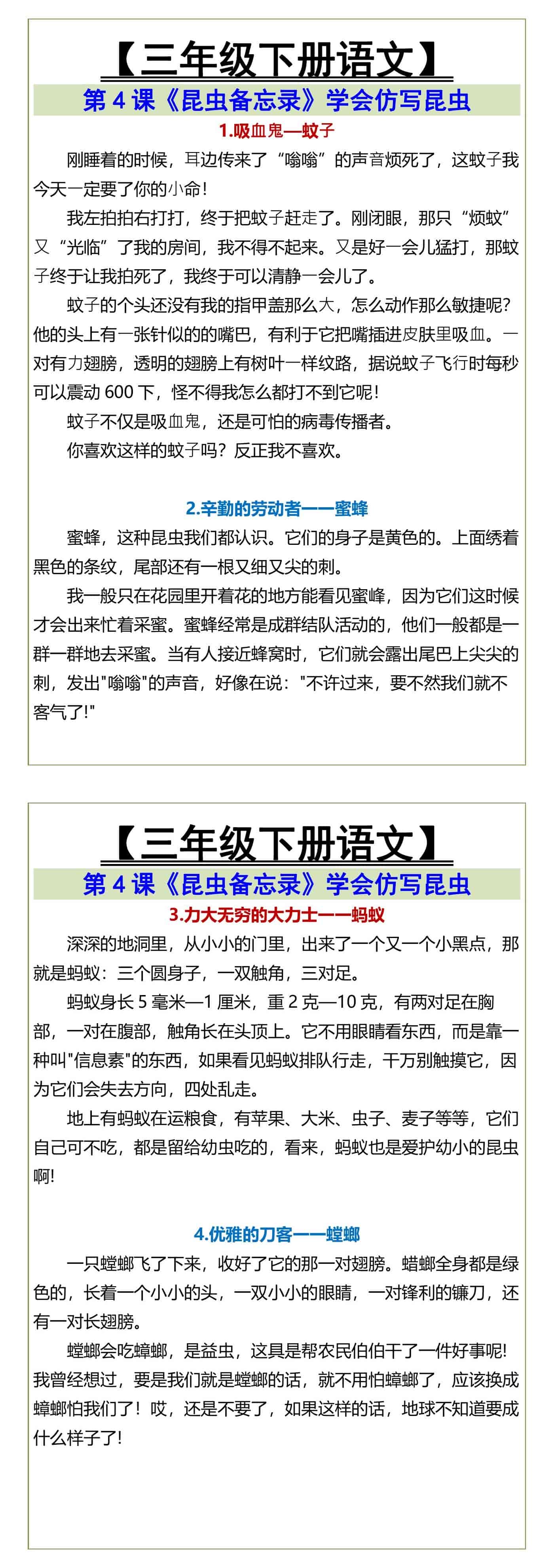 三年级下册语文《昆虫备忘录》学写昆虫