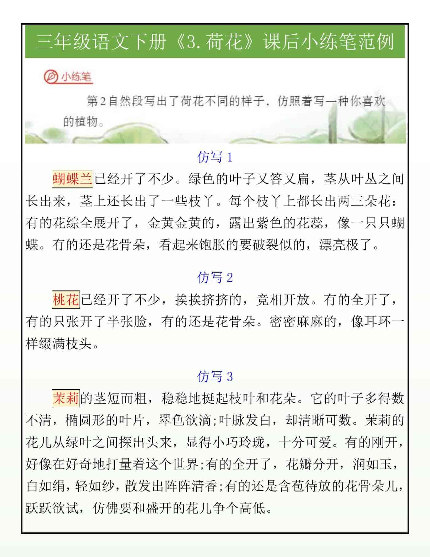 三年级语文下册《3.荷花》课后小练笔范例