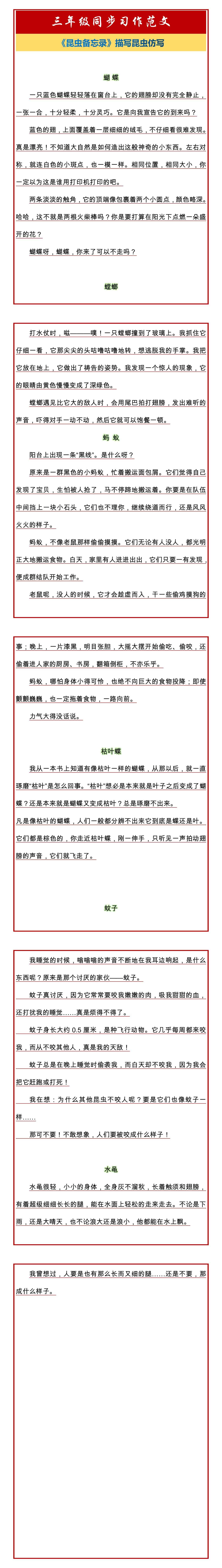 三年级同步习作范文《昆虫备忘录》描写昆虫仿