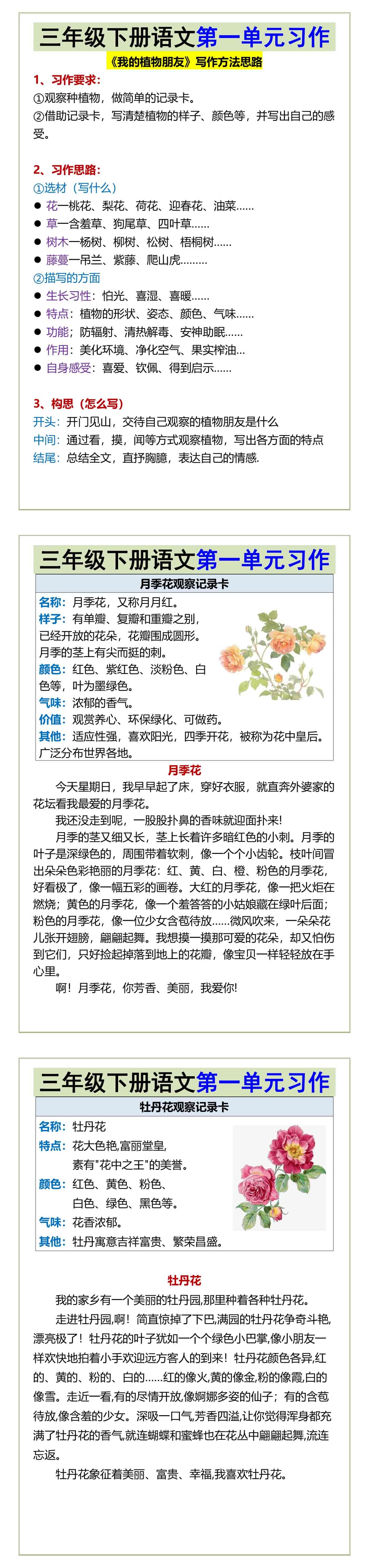 三年级下册语文第一单元习作