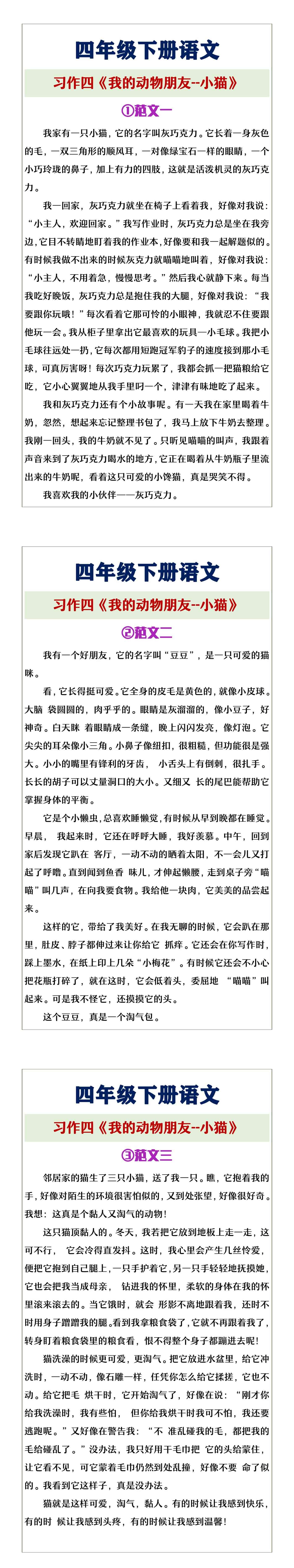 四年级下册语文习作4《我的动物朋友—小猫》