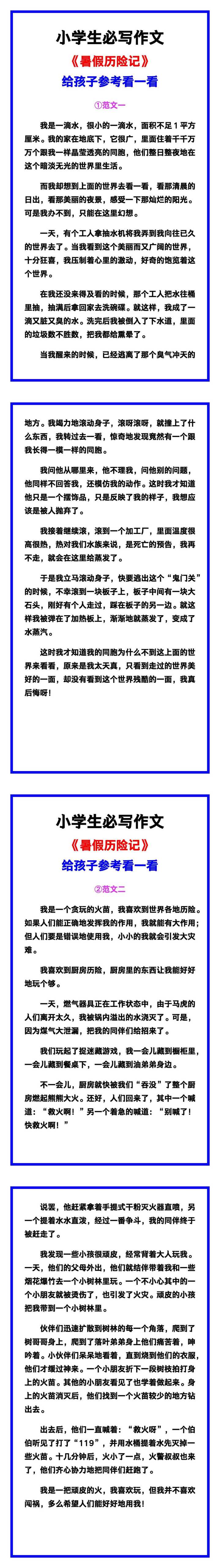 小学生必写作文《暑假历险记》范文素材