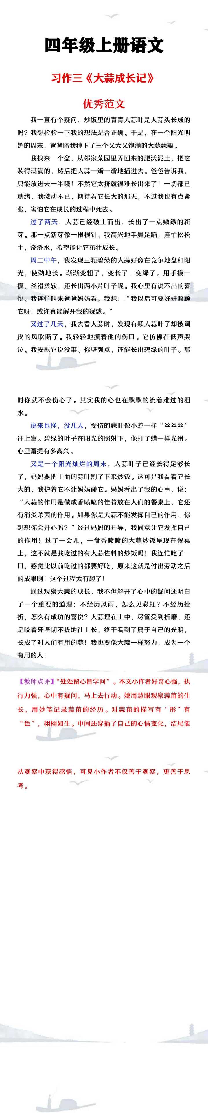 四年级上册语文习作三《大蒜成长记》优秀范文欣赏