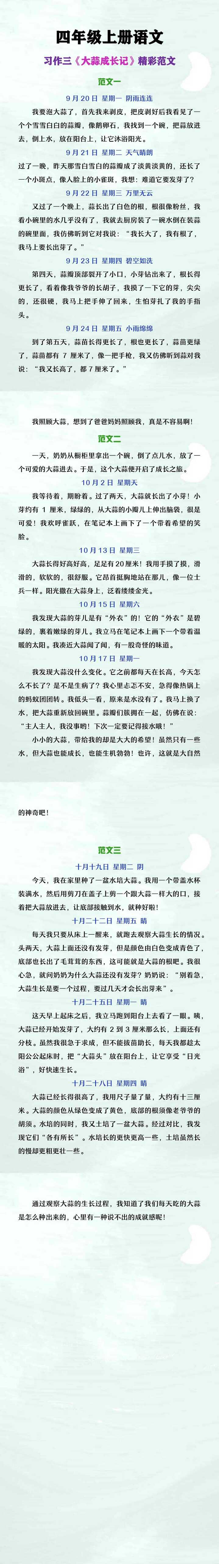 四年级上册语文习作三《大蒜成长记》范文3篇