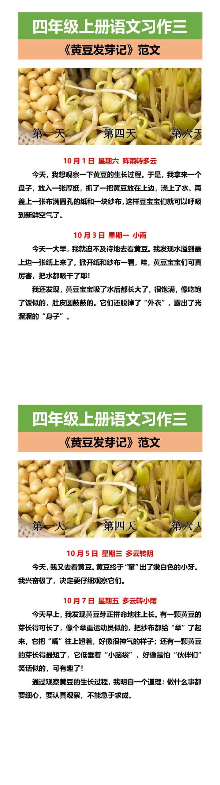 四年级上册语文习作三 《黄豆发芽记》范文