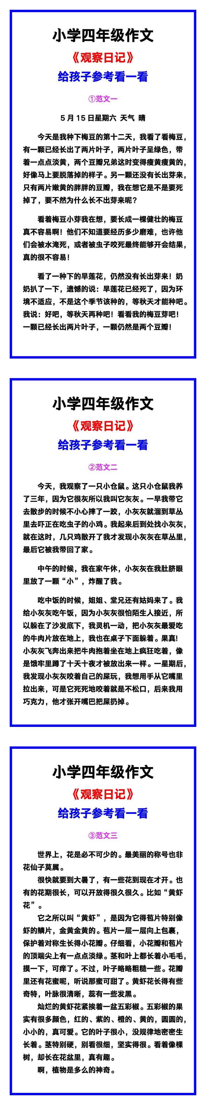 小学四年级作文《观察日记》范文素材，给孩子参考！