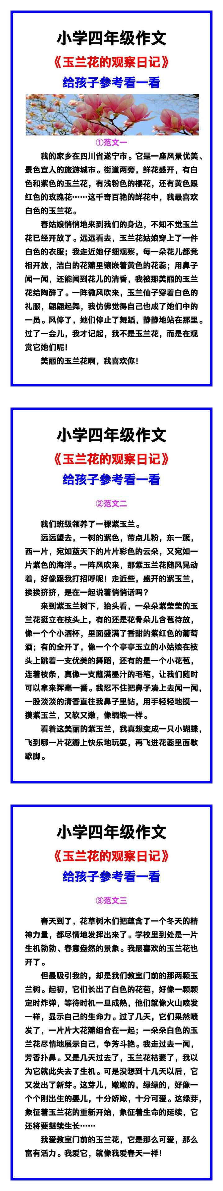 小学四年级作文《玉兰花的观察日记》范文素材，给孩子参考！