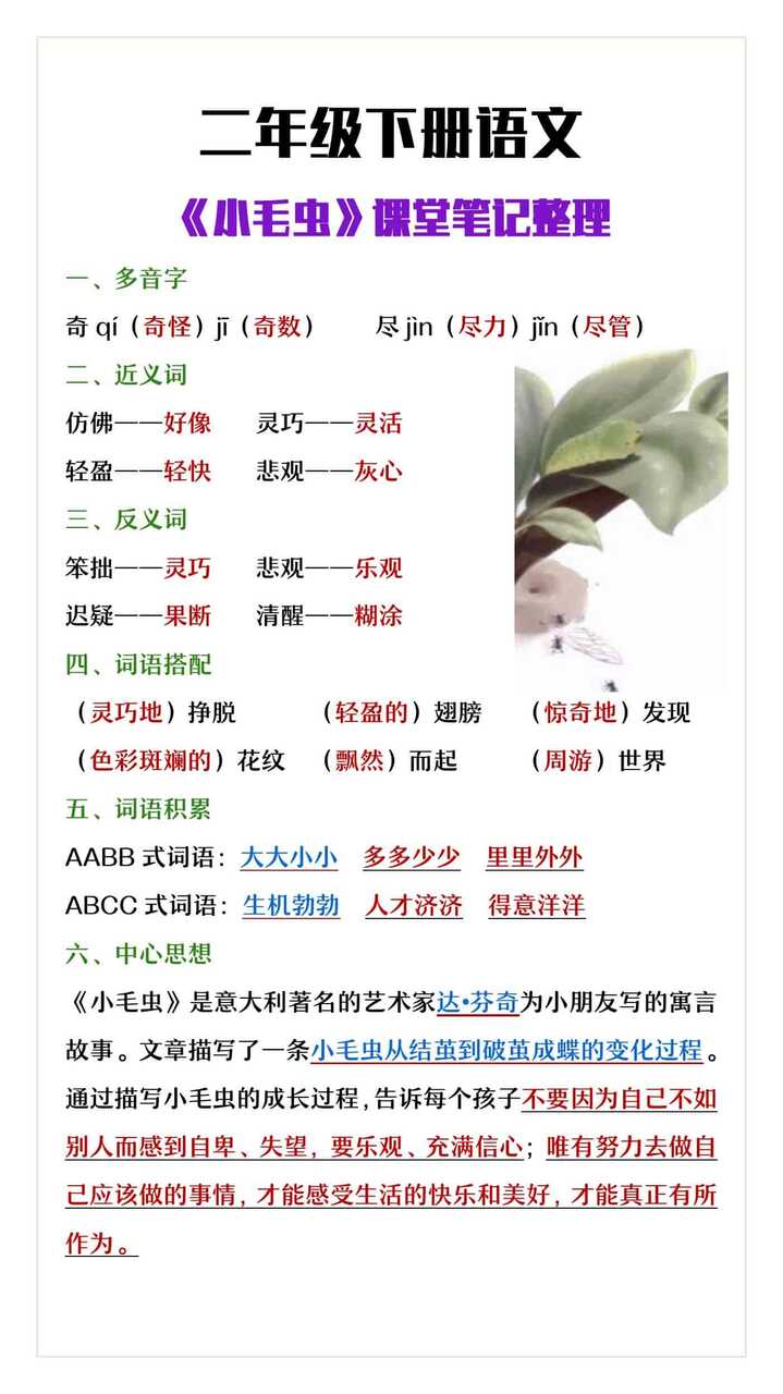 二年级下册语文《小毛虫》课堂笔记整理