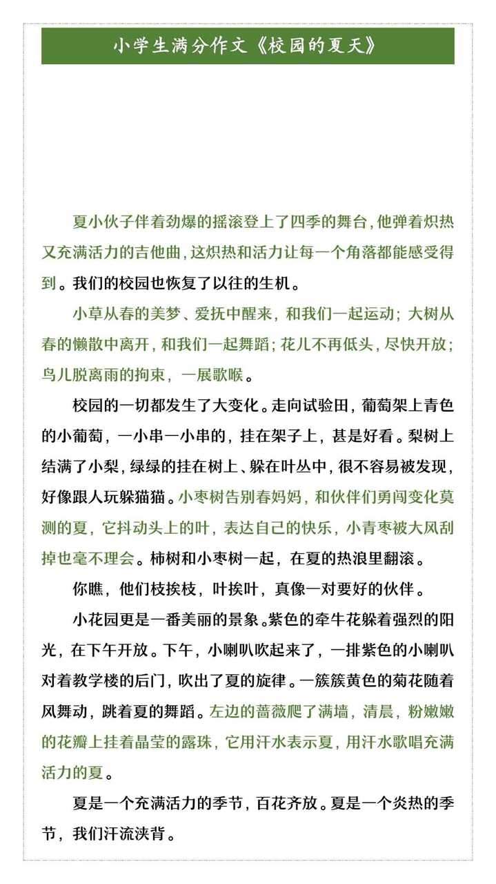 小学生满分作文《校园的夏天》