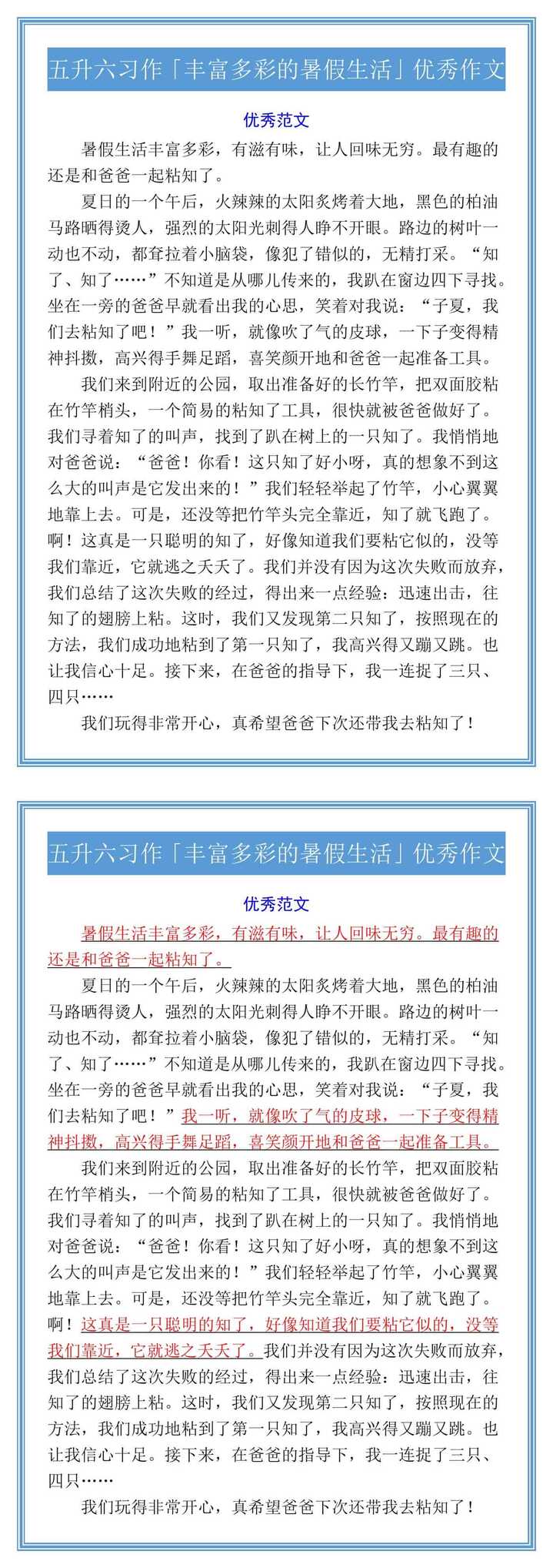 五升六习作「丰富多彩的暑假生活」优秀作文