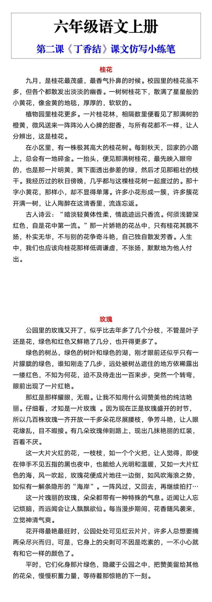 六年级语文上册第二课《丁香结》仿写小练笔