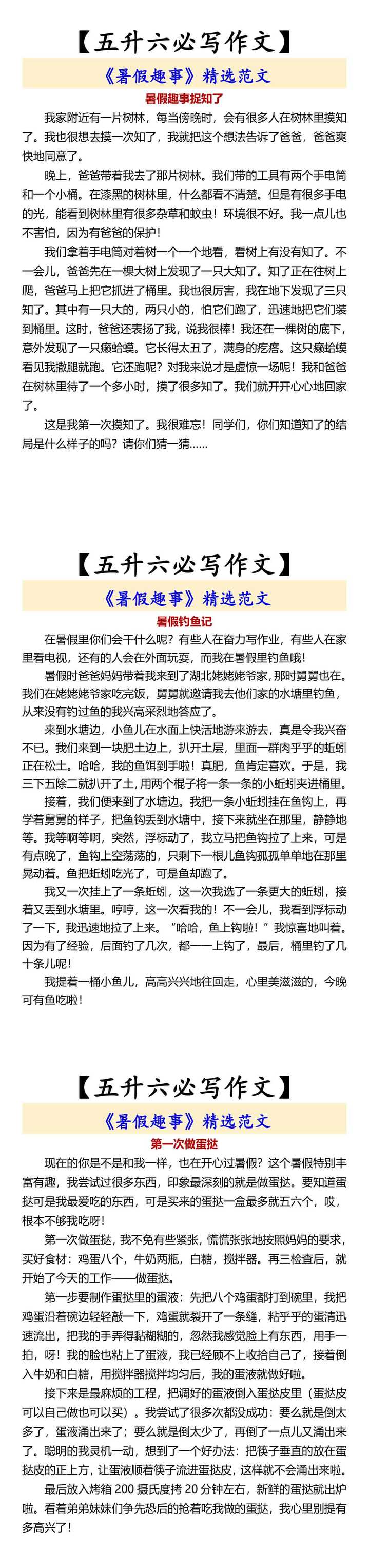 【五升六必写作文】 《暑假趣事》精选范文