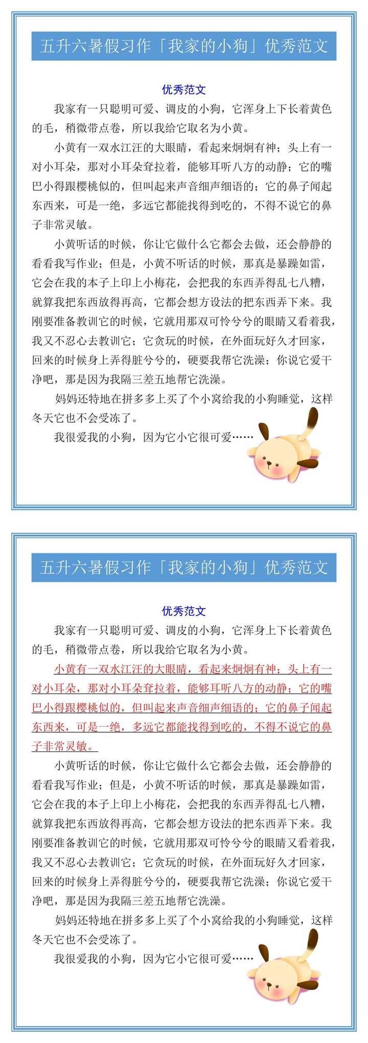 五升六暑假习作「我家的小狗」优秀范文