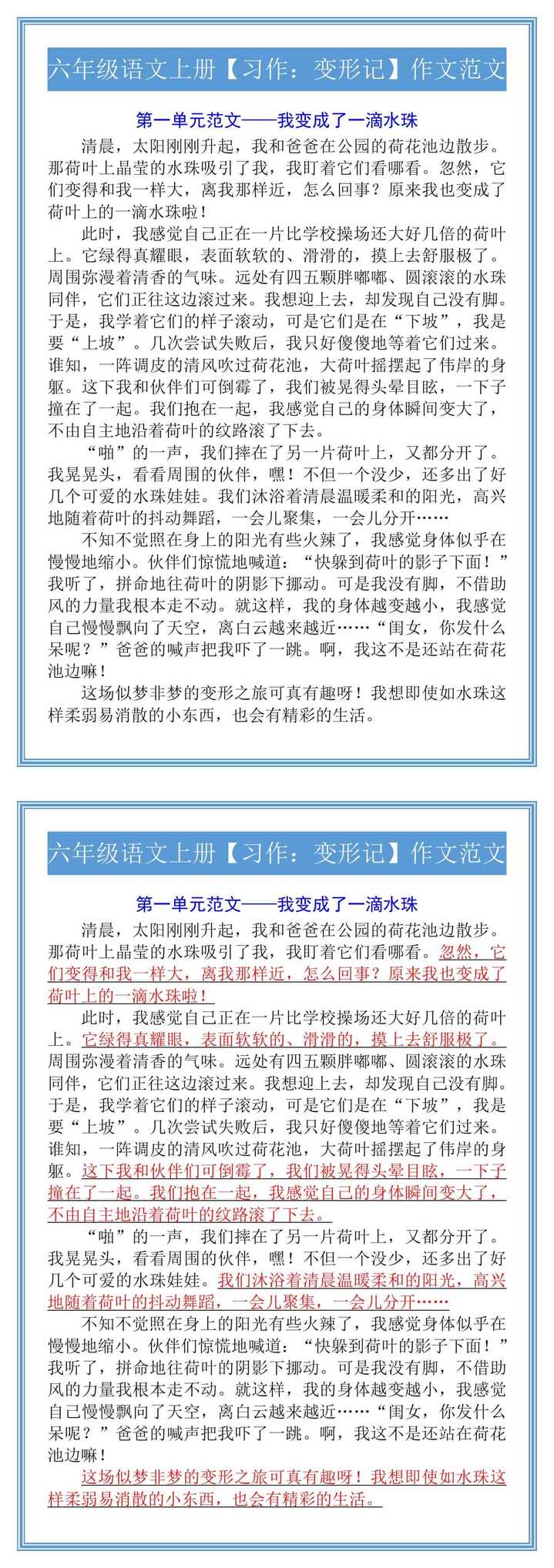 六年级语文上册【习作：变形记】作文范文
