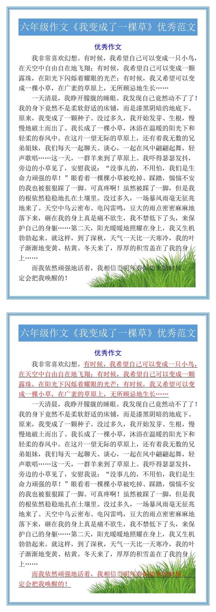 六年级作文《我变成了一棵草》优秀范文