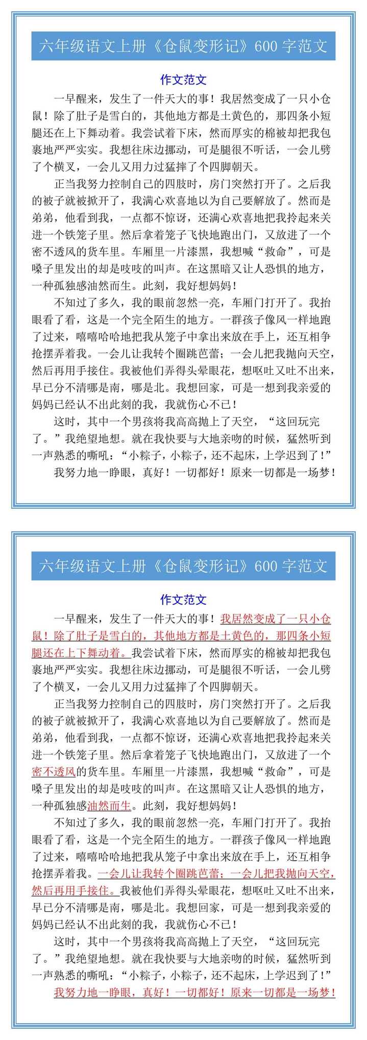 六年级语文上册《仓鼠变形记》600字范文