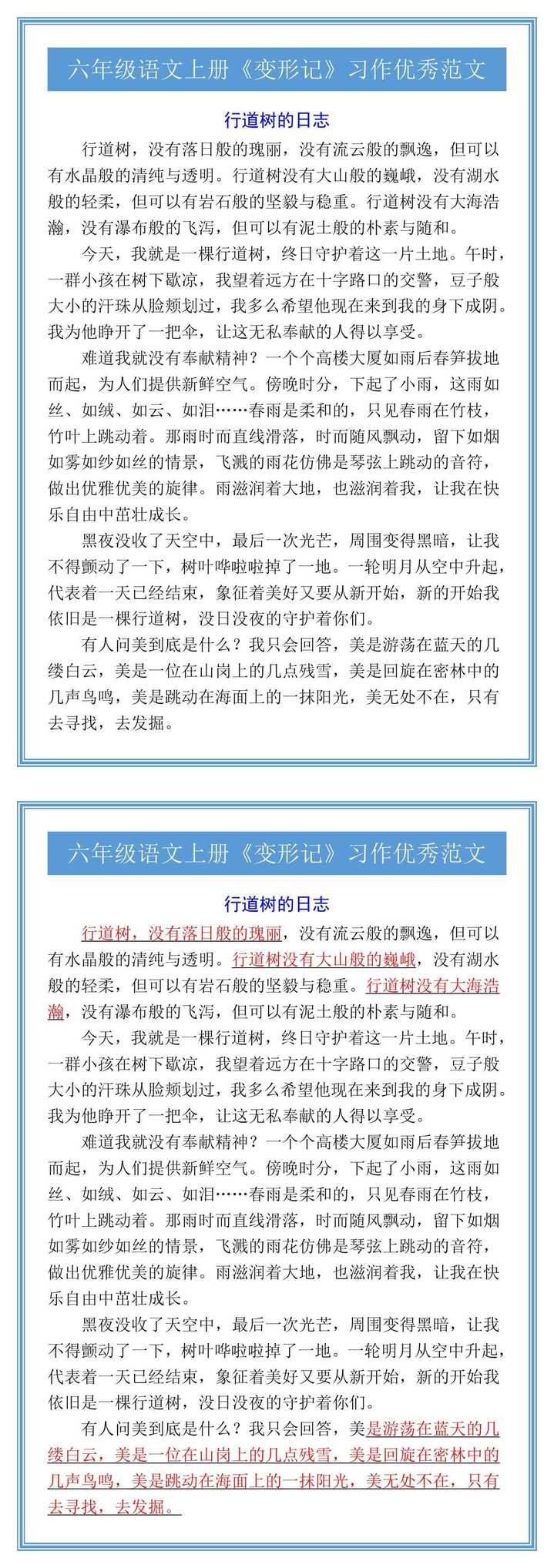 六年级语文上册《变形记》习作优秀范文