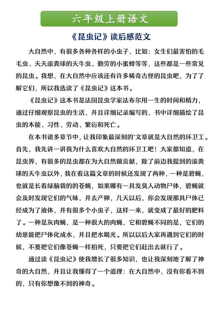 六年级上册语文 《昆虫记》读后感范文