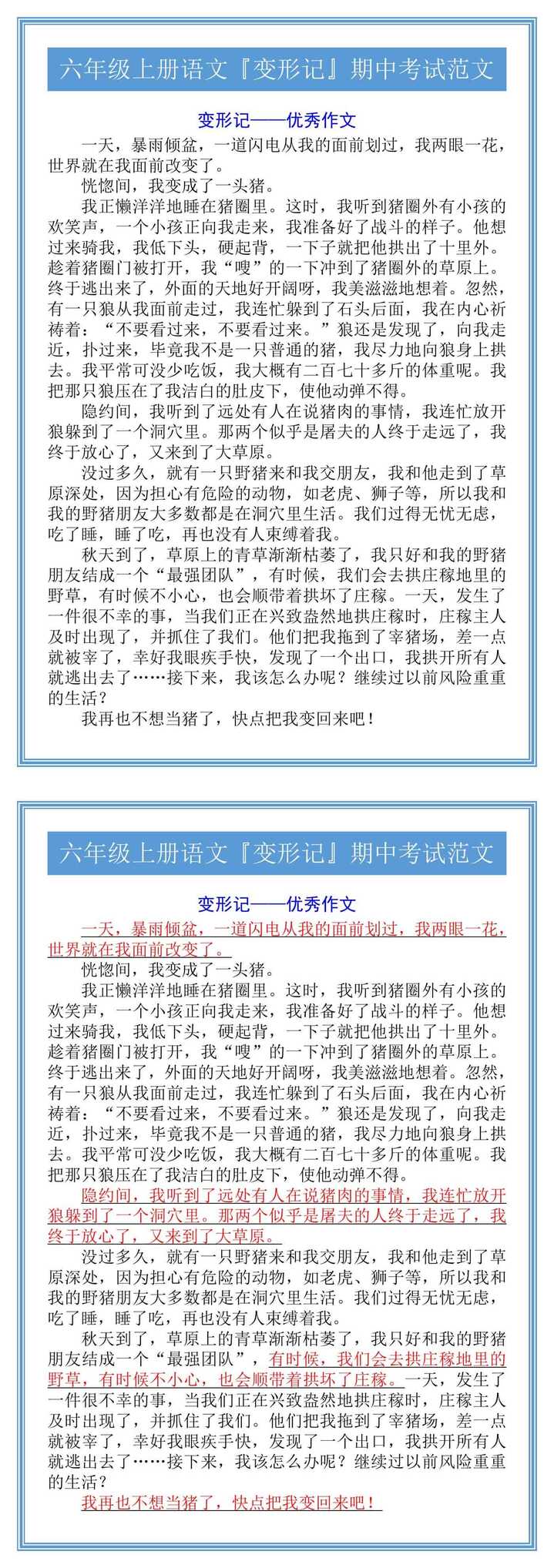 六年级上册语文『变形记』期中考试范文