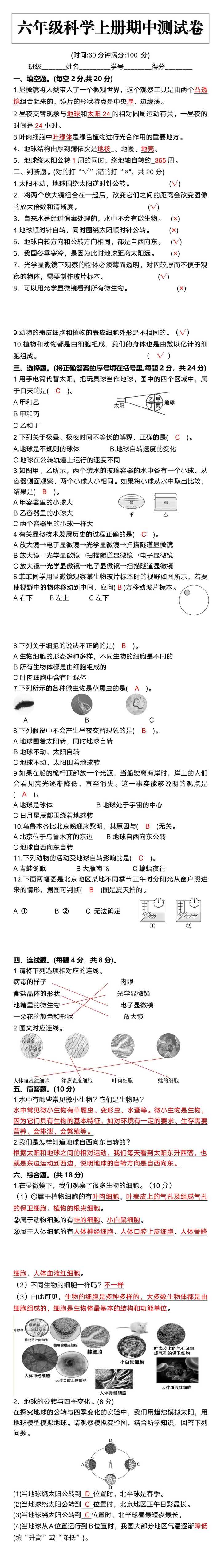 六年级数学上册比的应用题分类训练