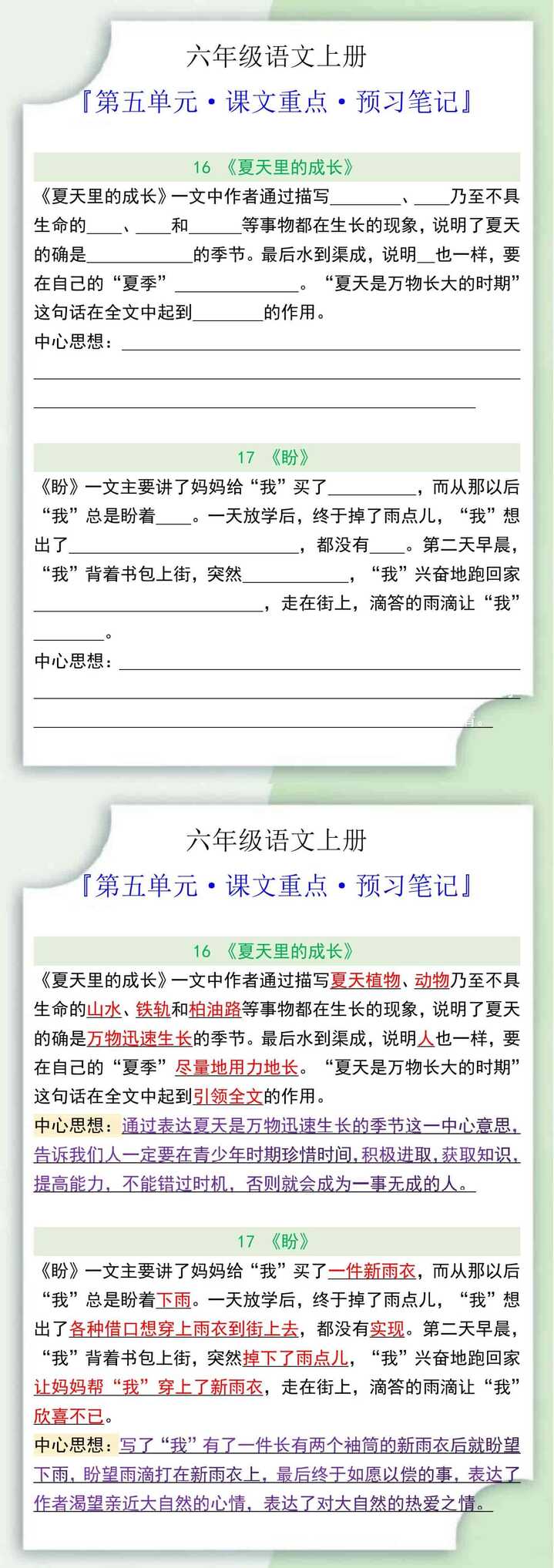 六年级语文上册第五单元·课文重点·预习笔记