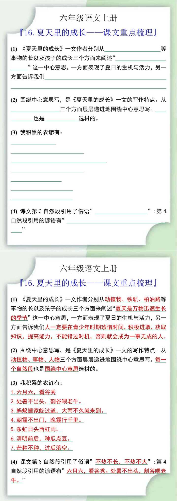 六年级语文上册16.夏天里的成长课文重点梳理