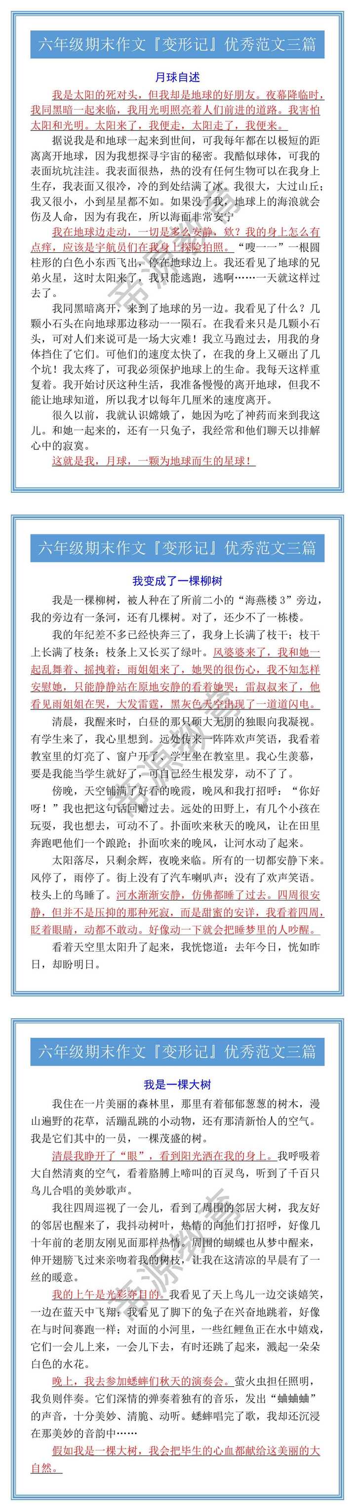 六年级期末作文『变形记』优秀范文三篇