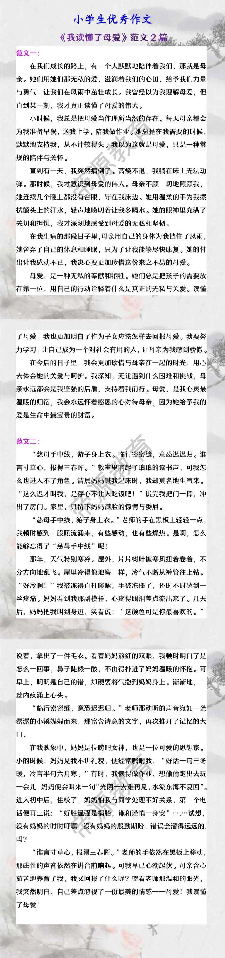 小学生优秀作文 《我读懂了母爱》范文2篇